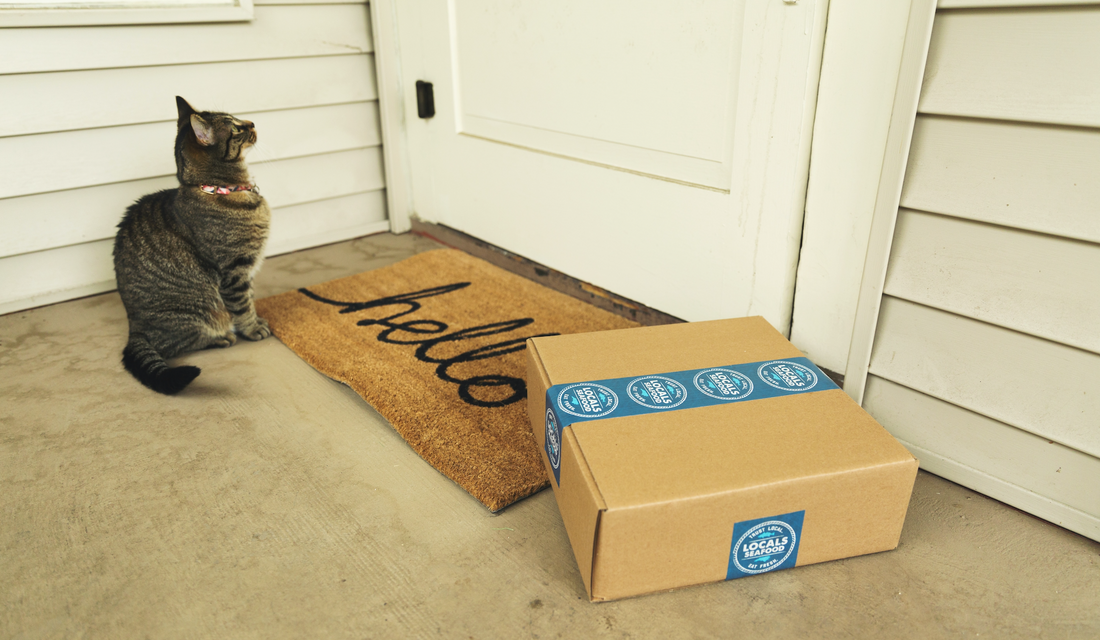 Elevate Your Wellness Journey with Fresh Living Company's New Subscription Service